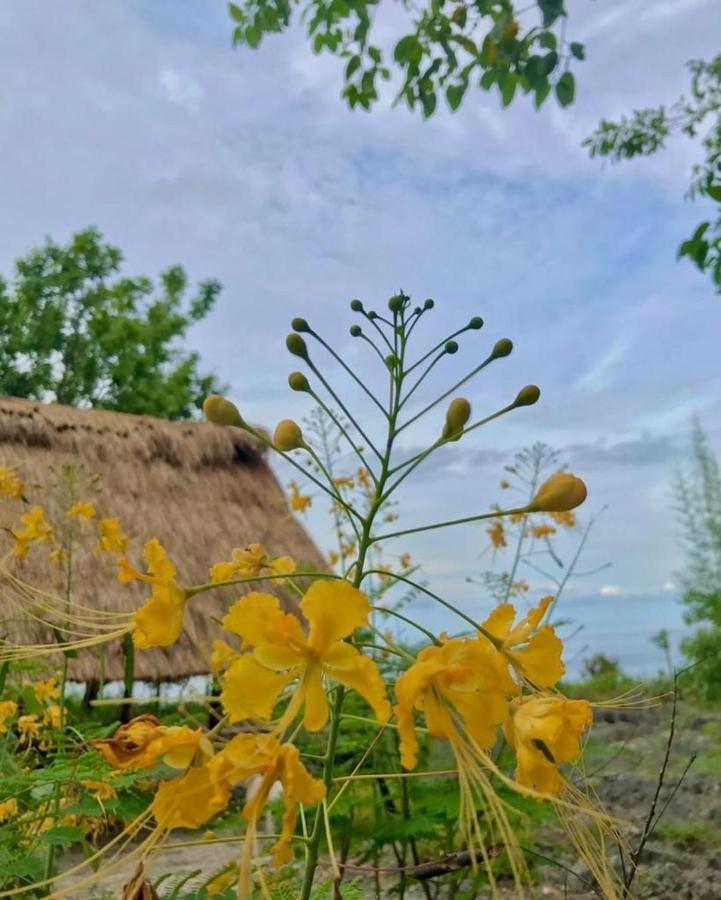 Oro Beach Houses Weetebula Zewnętrze zdjęcie